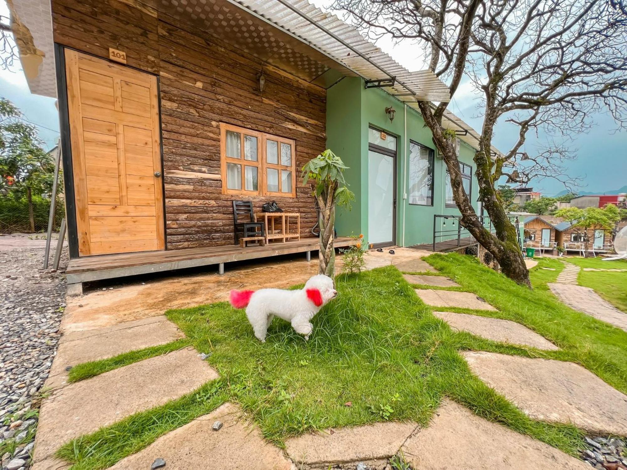 Lacasa home&coffee Mộc Châu Moc Chau Exterior foto